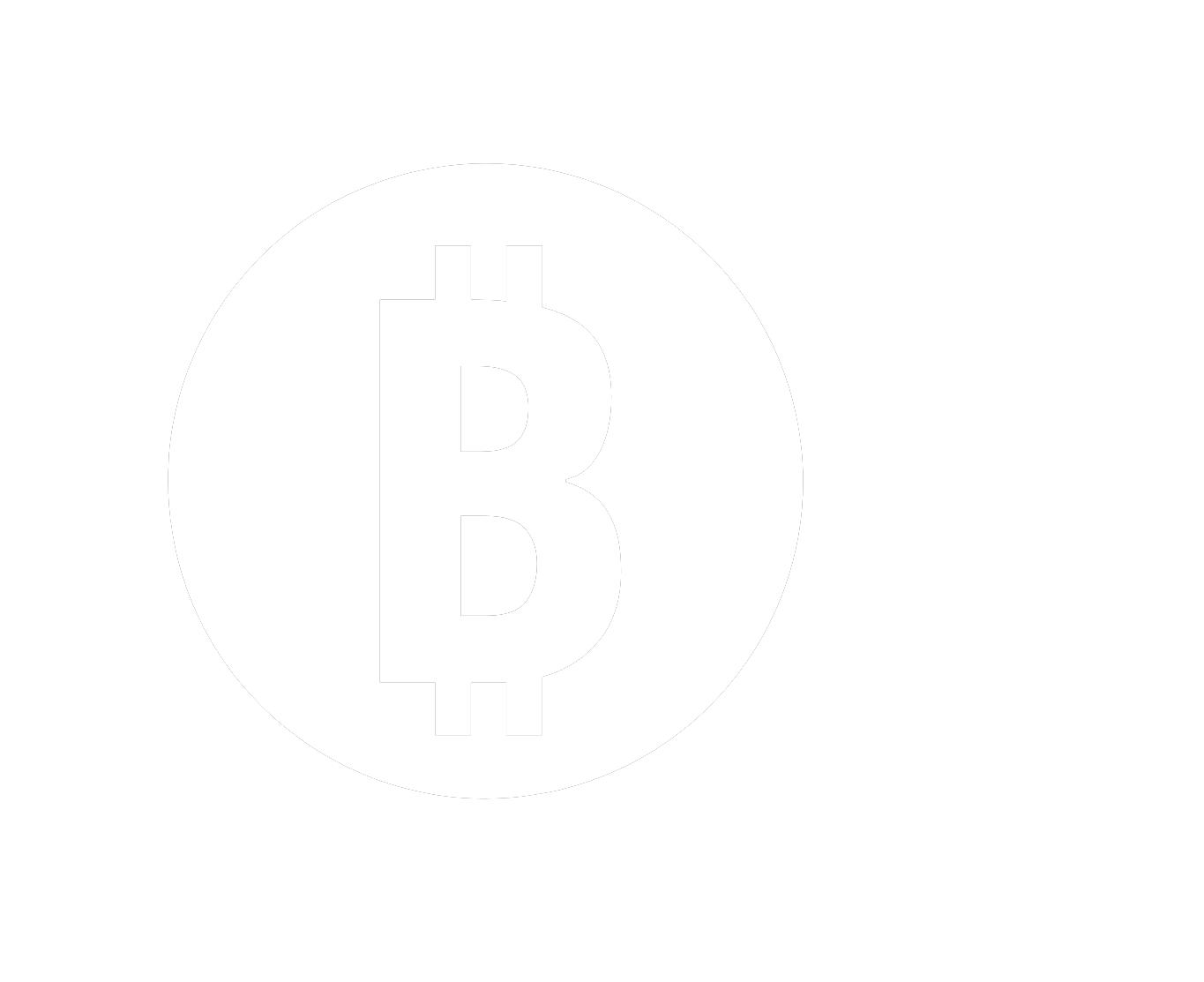 BSV Search Logo